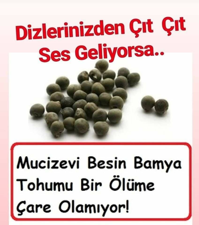 Diz Ağrılarına, Sıvı Kaybına, Kireçlenme ve Menisküse Karşı Bamya Tohumu