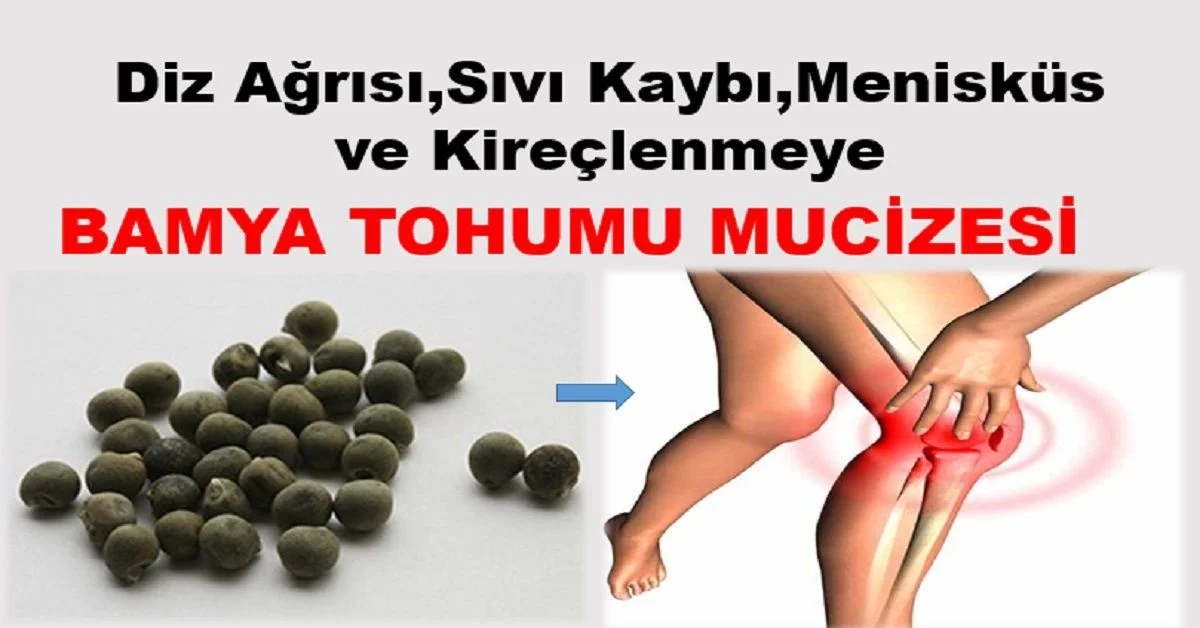 Diz Ağrılarına, Sıvı Kaybına, Kireçlenme ve Menisküse Karşı Bamya Tohumu