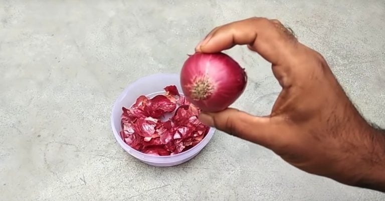 Bir Daha Asla Soğan Kabuklarını Çöpe Atmayacaksınız