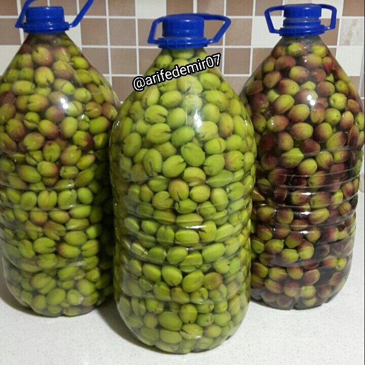 Dilme Zeytin Tarifi