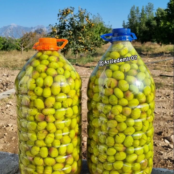 Çıtlatma Zeytin Tarifi