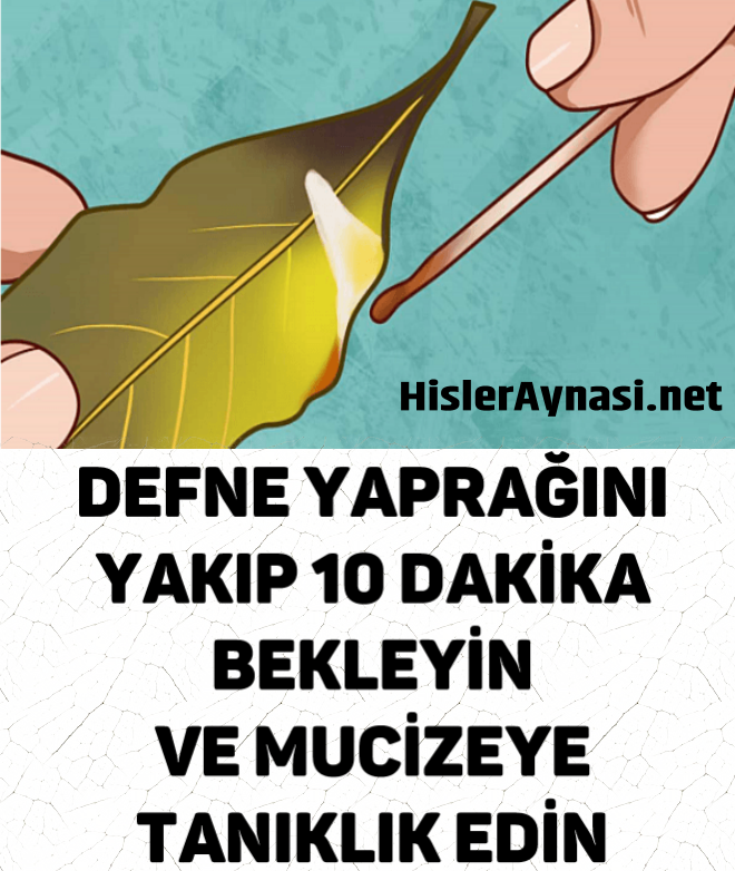 Defne Yaprağını Yakıp 10dk Bekleyin Ve Mucizeye Tanıklık Edin