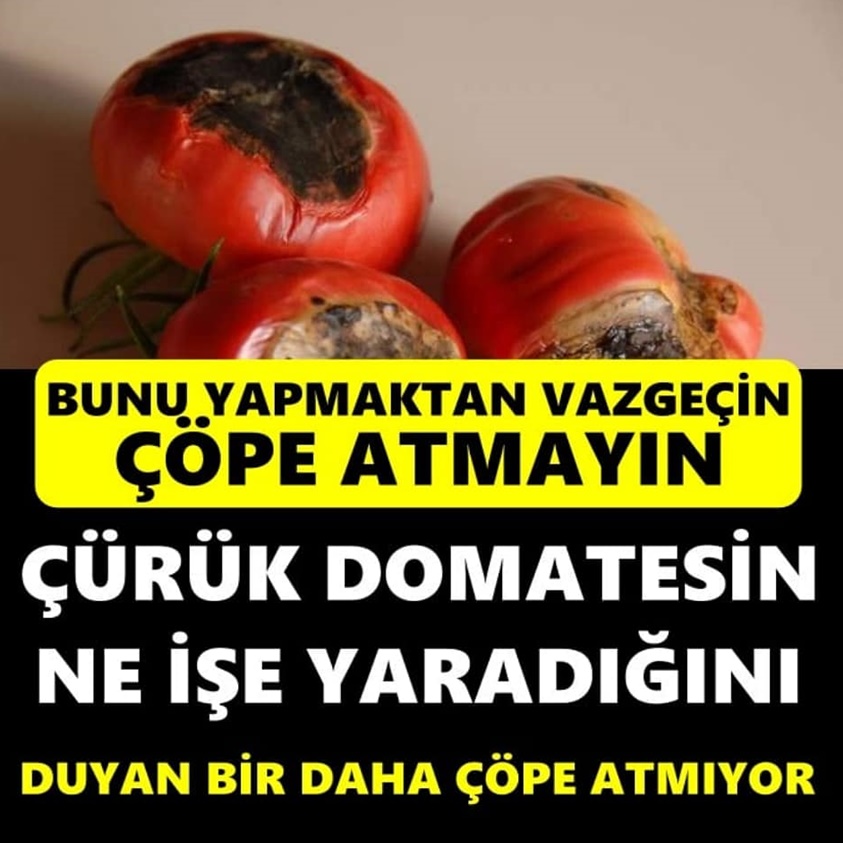 Çürük Domateslerin Ne İşe Yaradığını Duyan