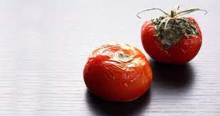 Çürük Domateslerin Ne İşe Yaradığını Duyan