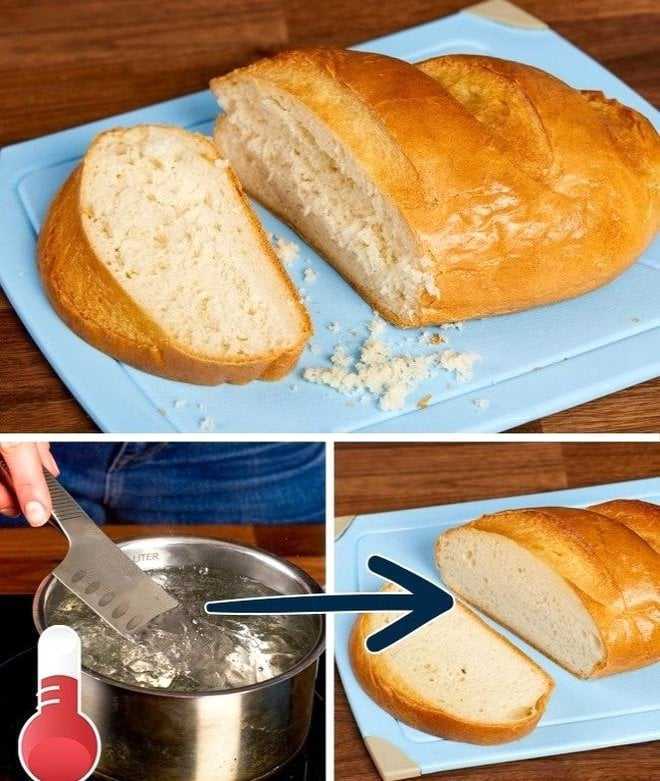 Çürük Domateslerin Ne İşe Yaradığını Duyan