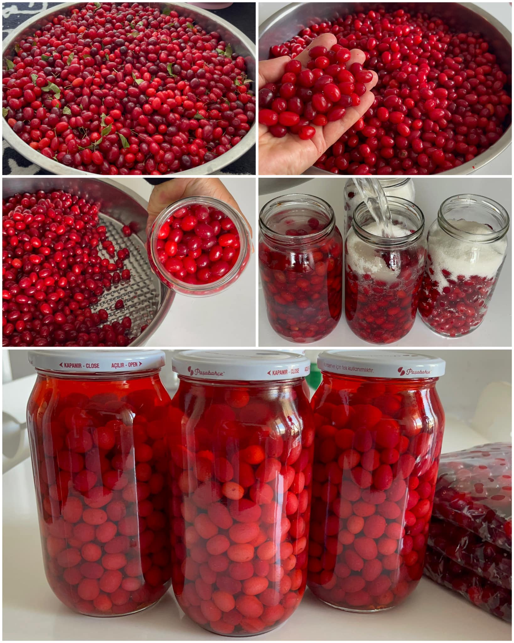 Her Sene Yapıyorum Kızılcık Kompostosu