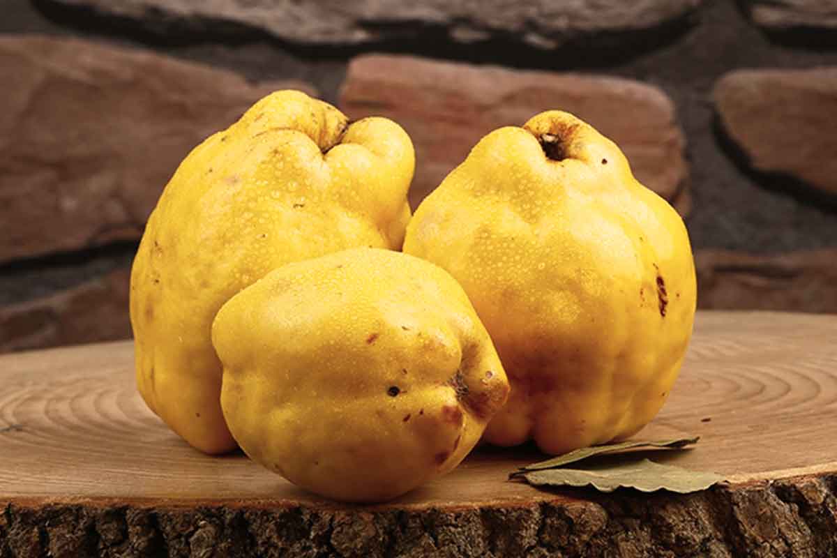 Ayvayı tereyağında kavurursanız