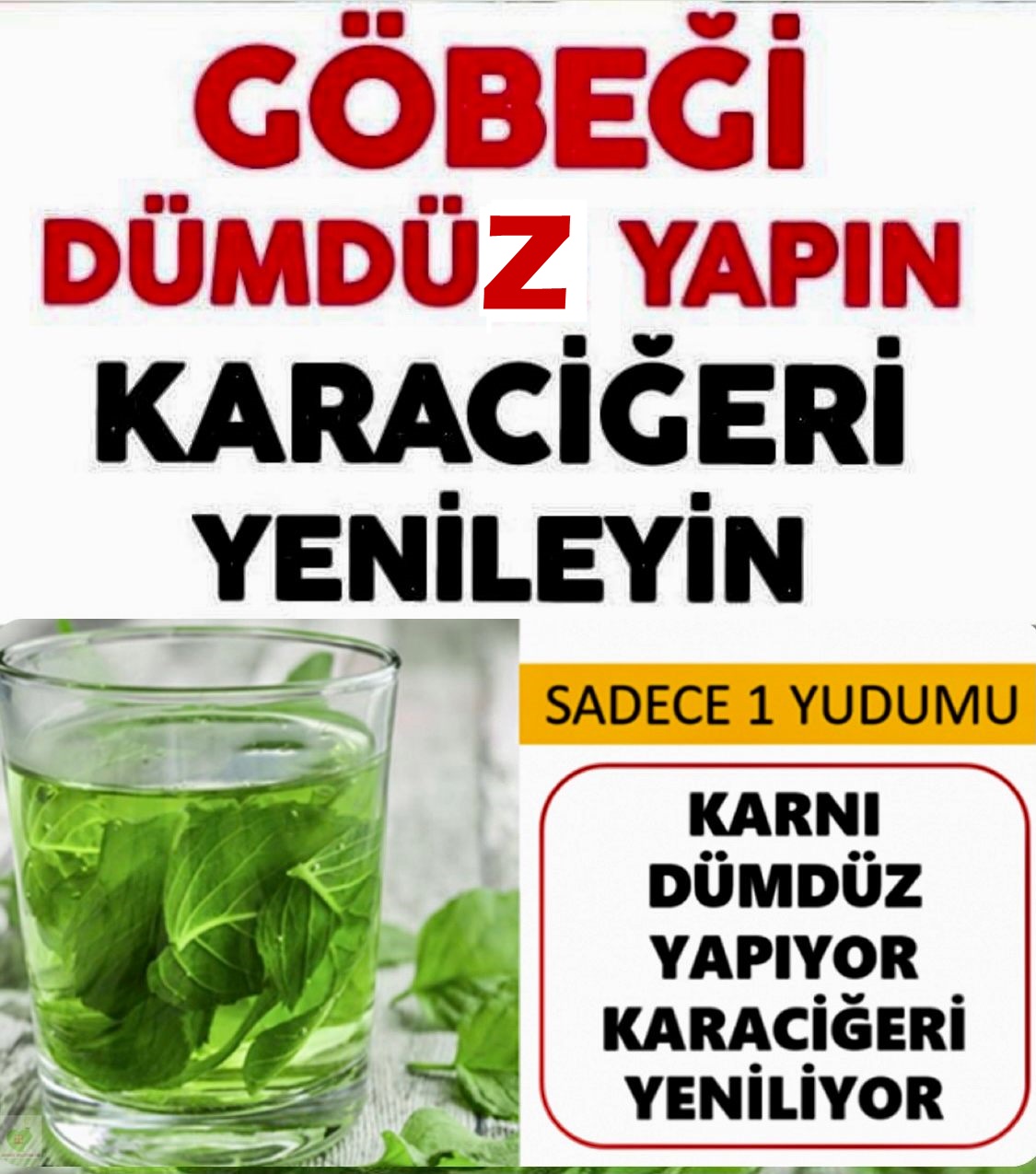 Bu Karışımla Göbeği dümdüz yapın