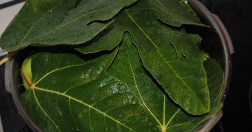 Diyabete karşı tüm umutları yitirmişken her şey bu yaprakla değişti