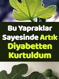 Diyabete karşı tüm umutları yitirmişken her şey bu yaprakla değişti