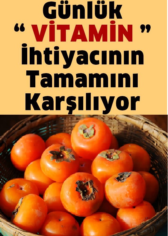 Vitamin Gereksiniminin Hepsini Karşılayan Tek Yiyecek