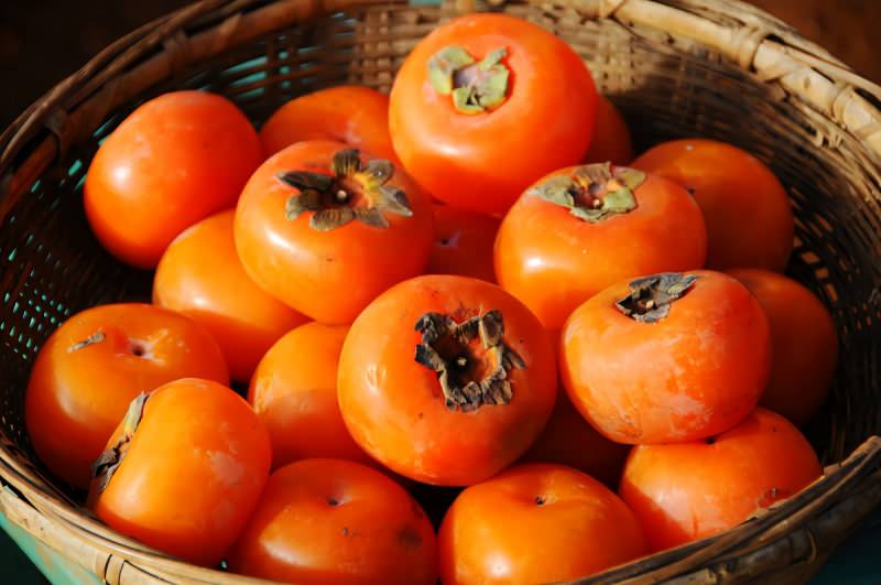 Vitamin Gereksiniminin Hepsini Karşılayan Tek Yiyecek
