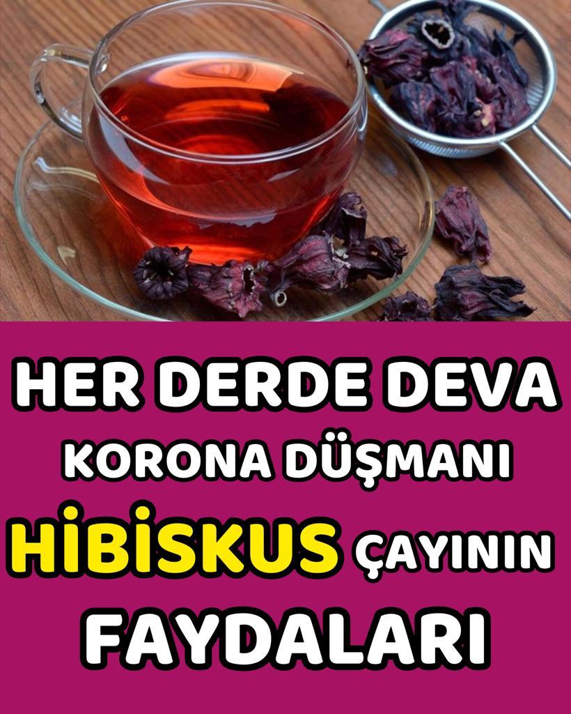 Her Derde Deva Hibiskus Çayı