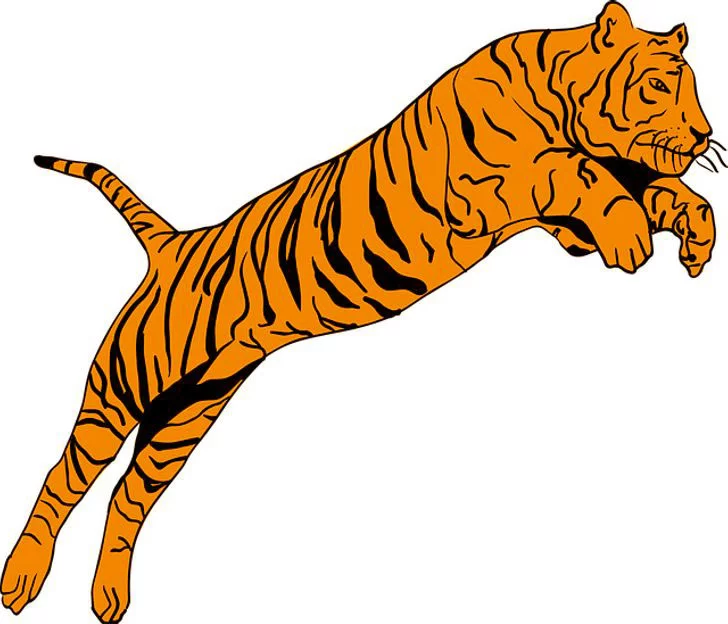 Resimde Gördüğün İlk Hayvan Karakterini Ortaya Çıkaracak