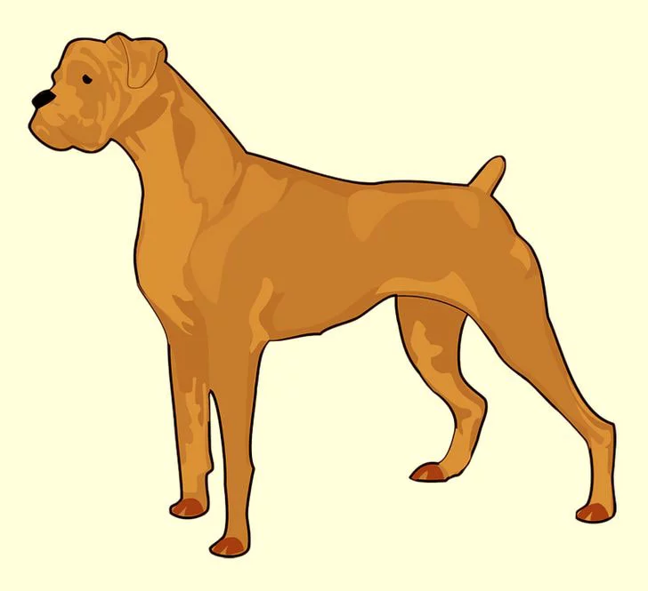 Resimde Gördüğün İlk Hayvan Karakterini Ortaya Çıkaracak