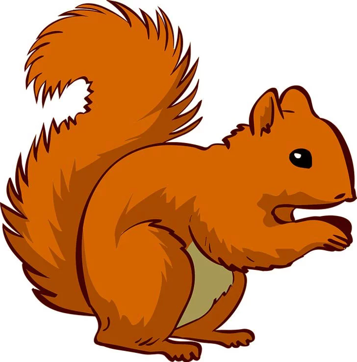 Resimde Gördüğün İlk Hayvan Karakterini Ortaya Çıkaracak