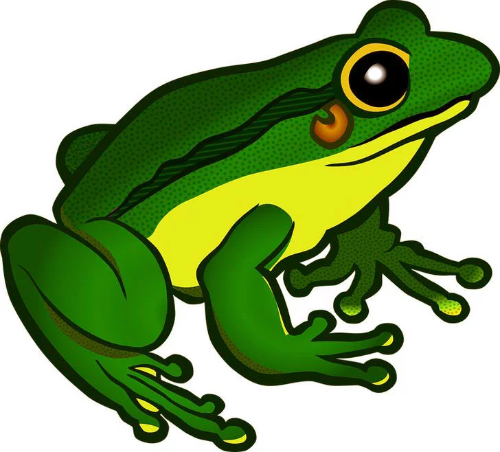 Resimde Gördüğün İlk Hayvan Karakterini Ortaya Çıkaracak