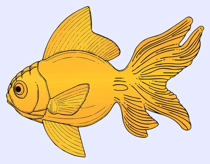 Resimde Gördüğün İlk Hayvan Karakterini Ortaya Çıkaracak