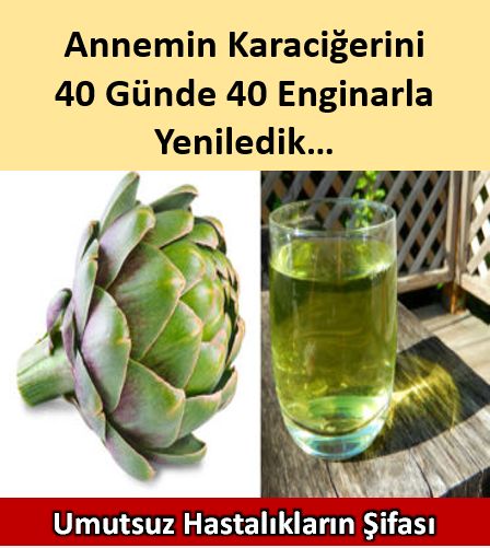 Takipçimizden Gelen Yazı: Annemin Karaciğerini 40 Günde Enginarla Yeniledik