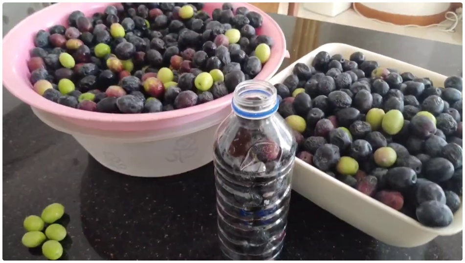 İddia Ediyorum En Kolay Ve Garantili Siyah Zeytin Yapımı Yıllardır Bu Şekilde Yapıyorum