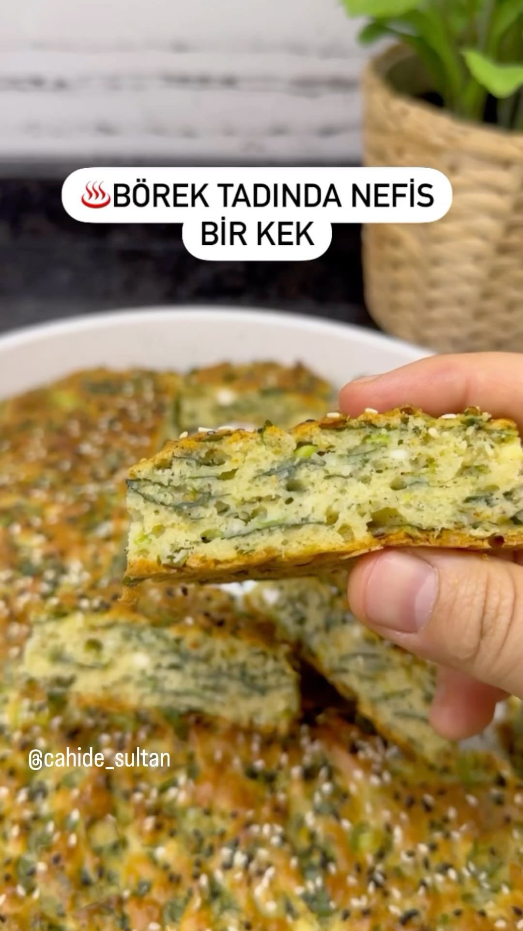 Ispanaklı Tuzlu Kek