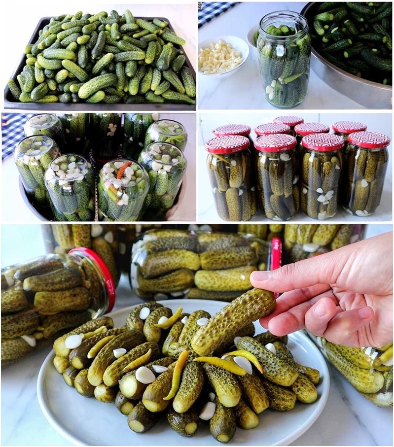 Asla Erime Yok İster 10 Gün Sonra Aç Ye İster Kışa Sakla