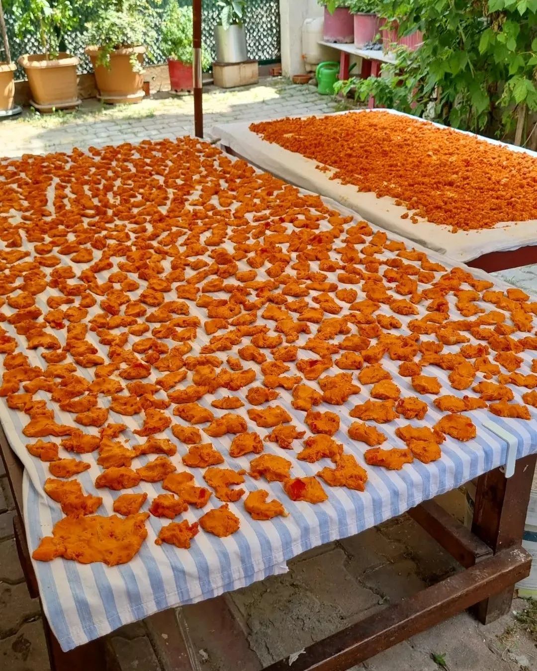 Trakya Usulü Tarhana Yapımı