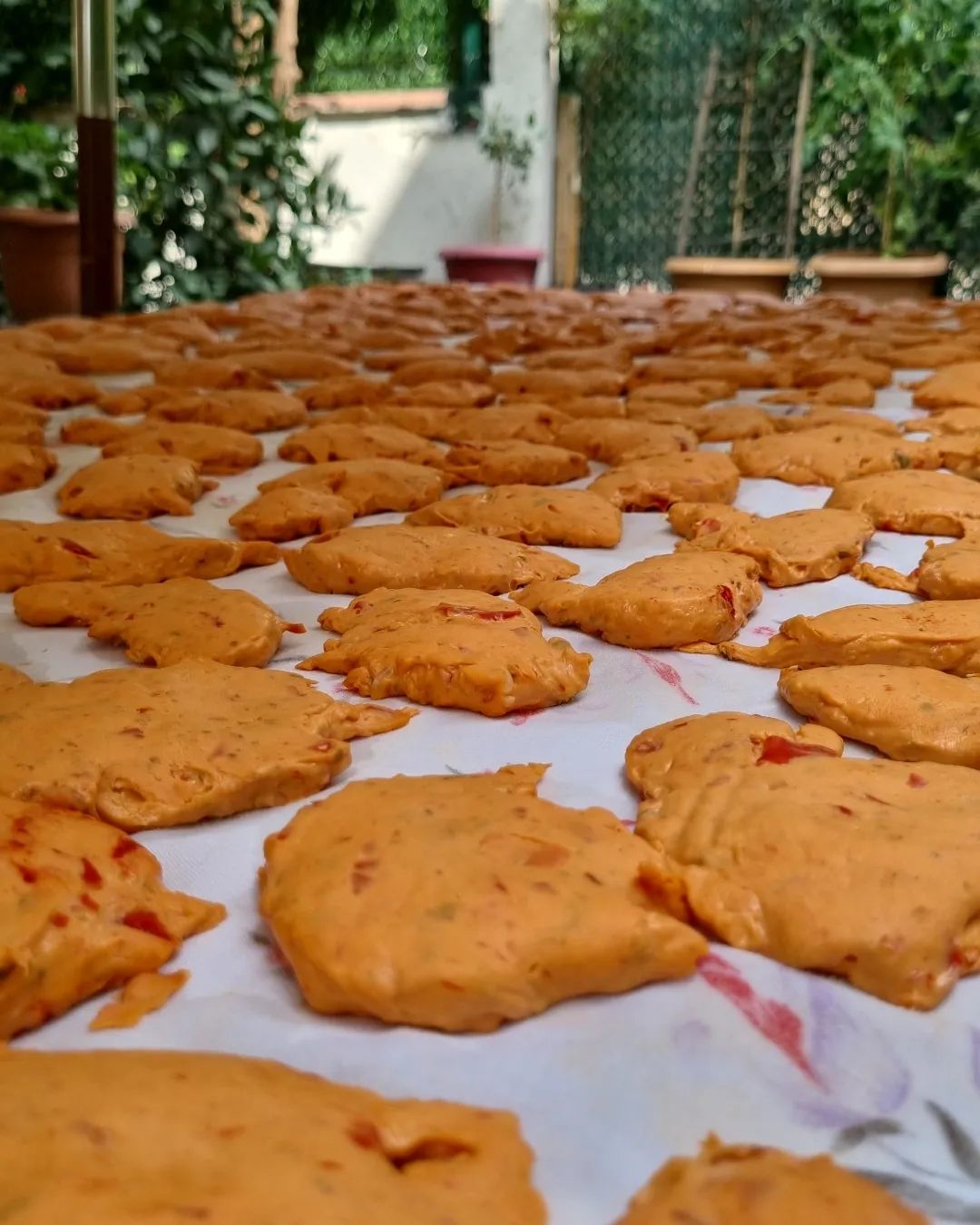 Trakya Usulü Tarhana Yapımı