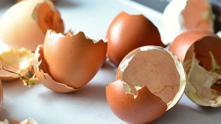 Çiçek coşturan karışım tarifi