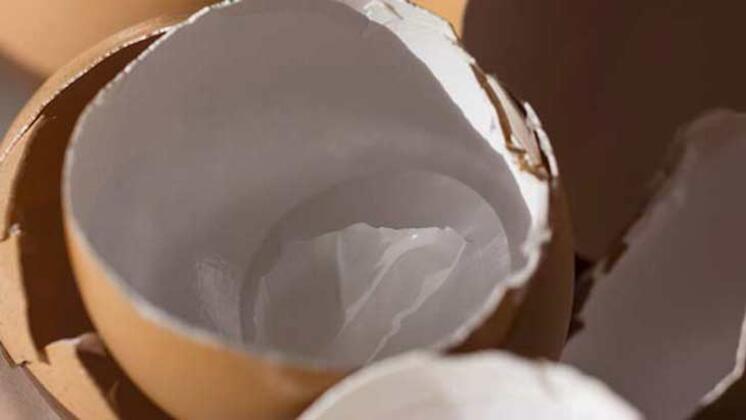 Çiçek coşturan karışım tarifi