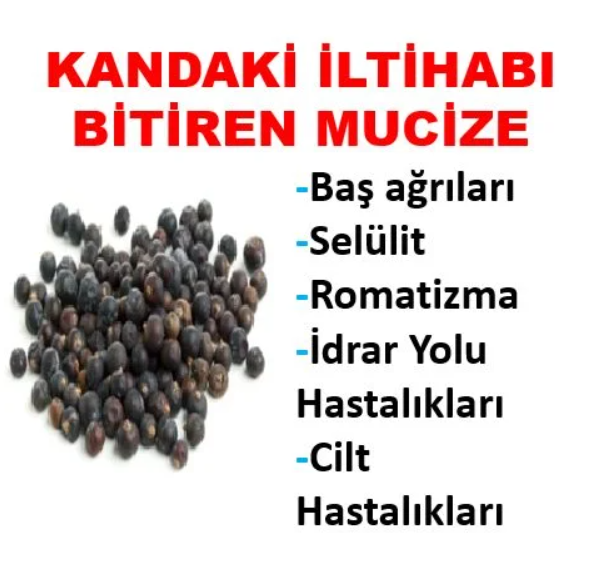 Kandaki İltihabı Yok- Eden Doğa Muhteşem Meyve