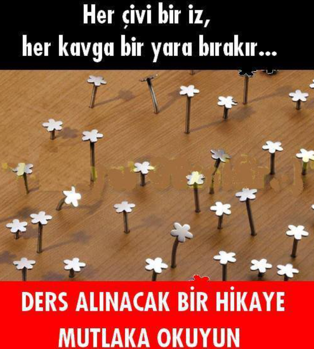 Ders Alınacak Bir Hikaye - Mutlaka Okuyun