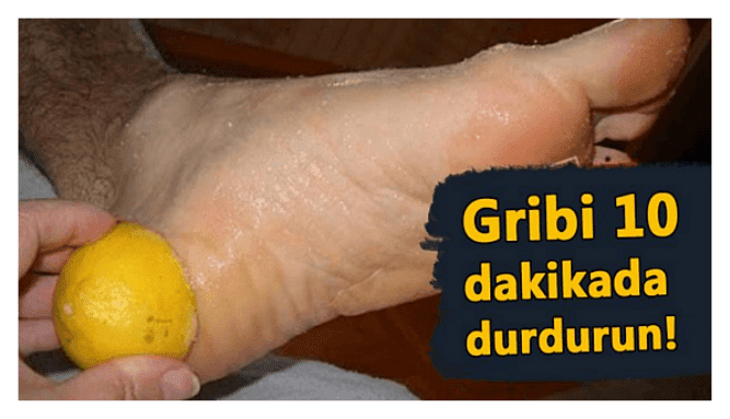 Gribi 10 Dakikada Basit Bir Şekilde Durdurabilirsiniz