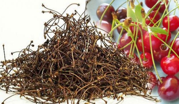 Şifası Sapında Saklı Faydasını Öğrenince Bir Daha Çöpe Atmayacaksınız