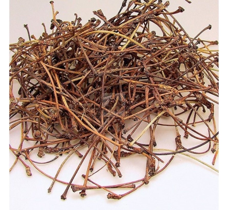 Şifası Sapında Saklı Faydasını Öğrenince Bir Daha Çöpe Atmayacaksınız