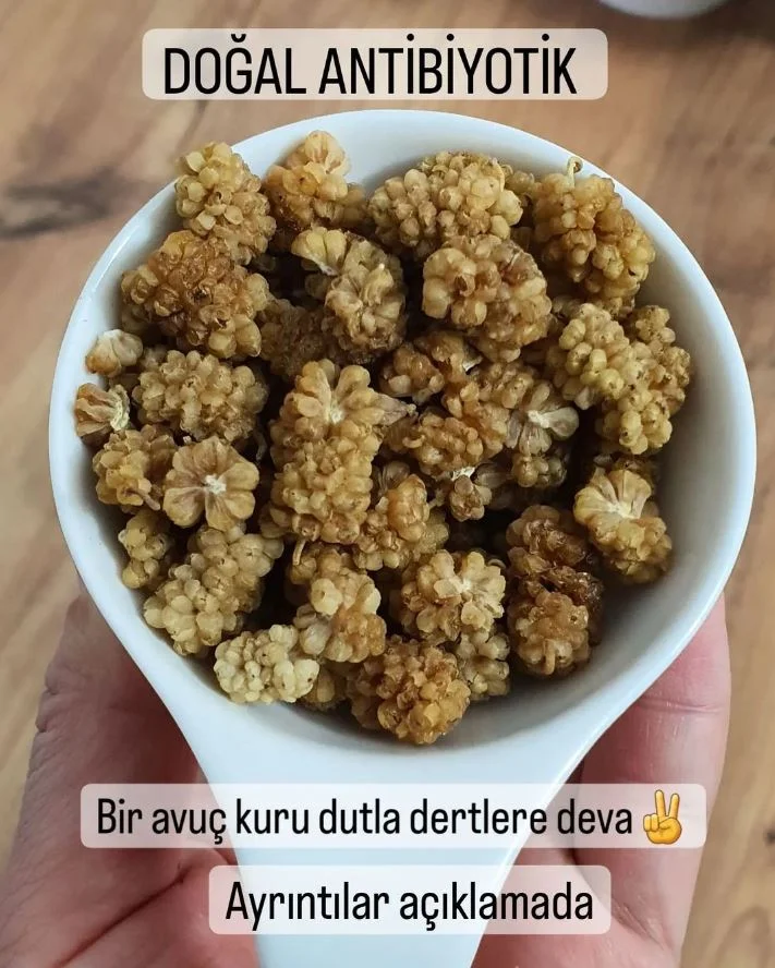 Bağışıklığı Güçlendiren Dut Kurusunun Bu Faydalarını Biliyor musunuz?