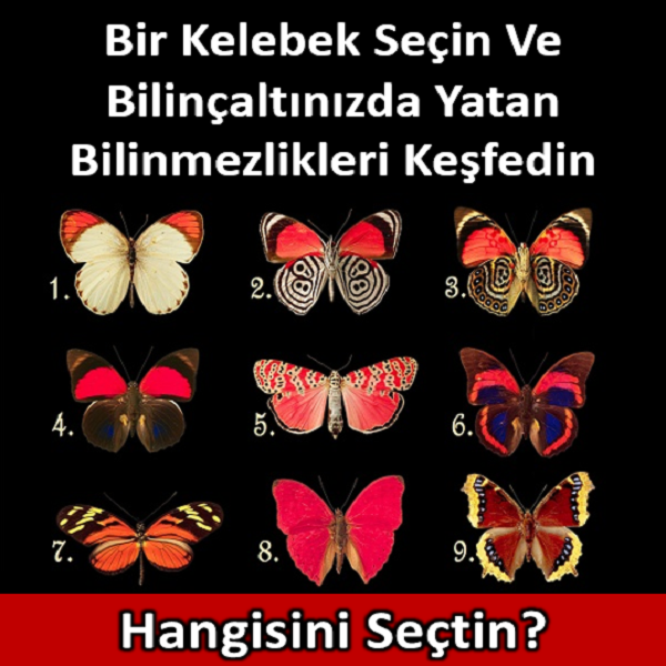 Bir Kelebek Seçin Ve Bilinçaltınızda Yatan Bilinmezlikleri Keşfedin
