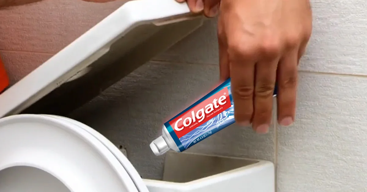 Komşumun Banyosu Güzel Kokmasının Sebebi Buymuş