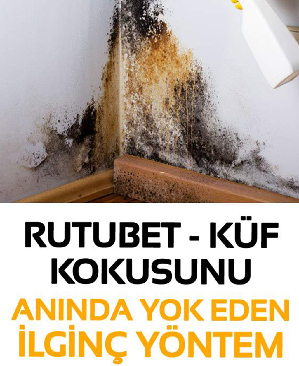 Rutubet kokusunu anında yok eden ilginç yöntemler
