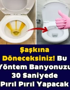 30 Saniyede Etkili Tuvalet Taşındaki Sarı Lekelerden Kurtulun