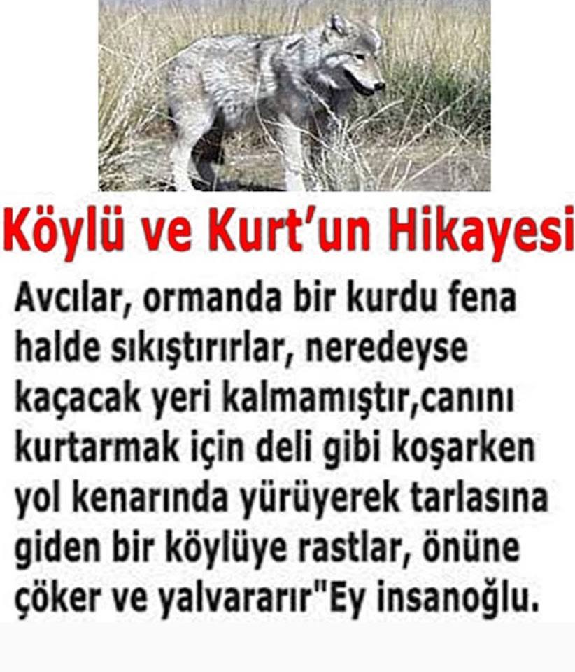 İbret Alınacak Bir Kıssadan Hikaye