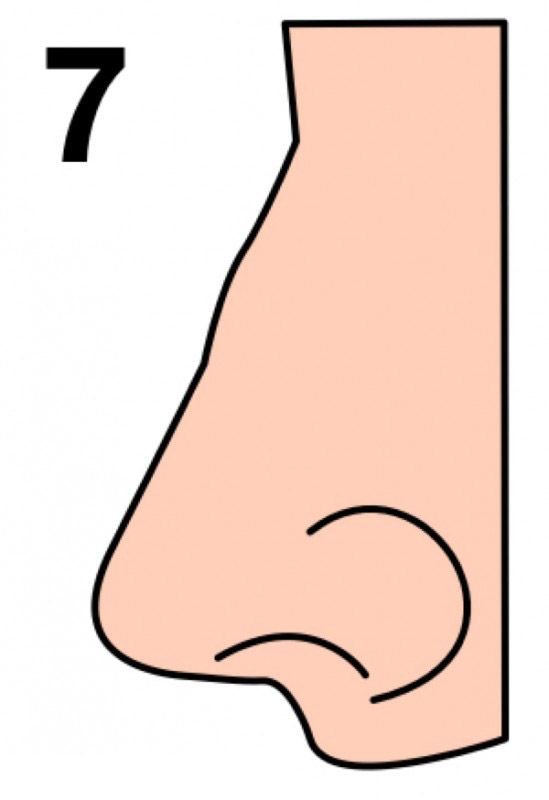 Burun şekliniz karakterinizi yansıtıyor!