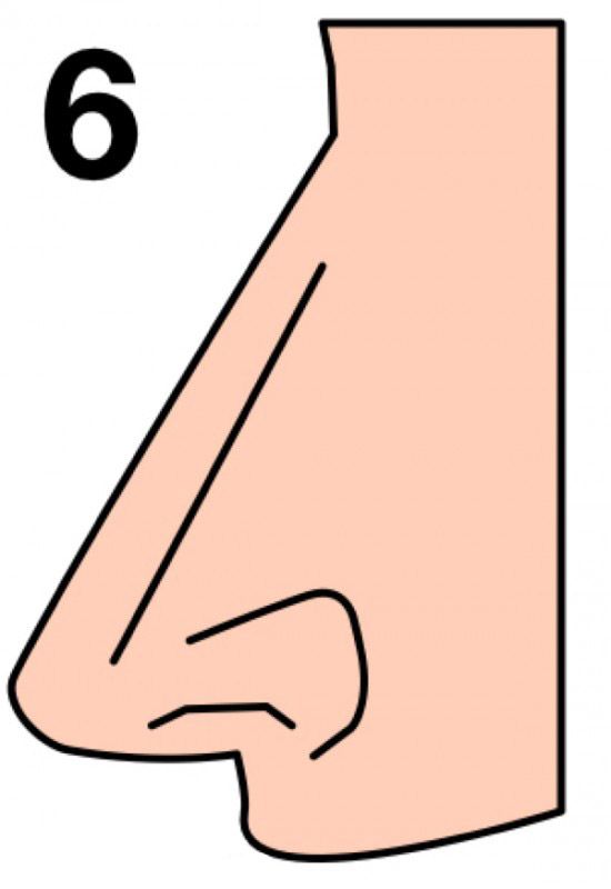 Burun şekliniz karakterinizi yansıtıyor!