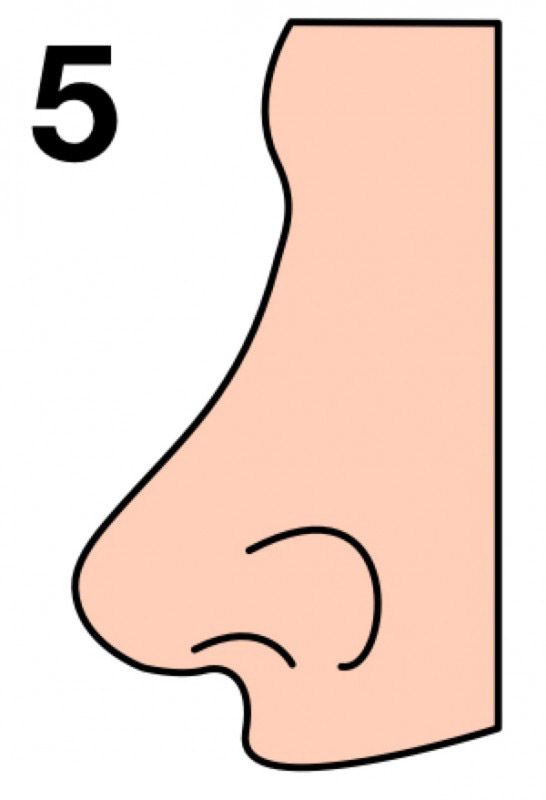 Burun şekliniz karakterinizi yansıtıyor!