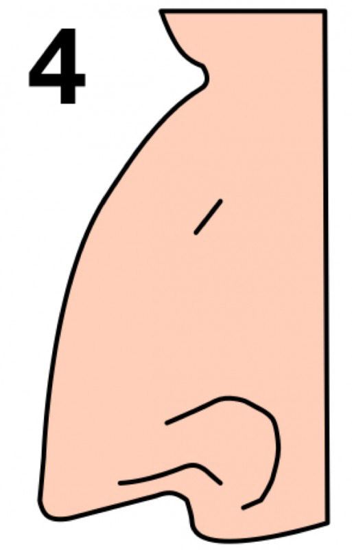 Burun şekliniz karakterinizi yansıtıyor!