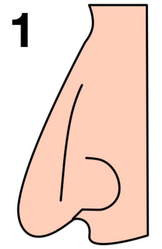 Burun şekliniz karakterinizi yansıtıyor!