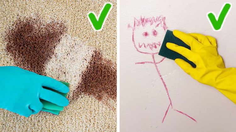 Son Kullanma Tarihi Geçmiş Ürünleri Atmayın Böyle Değerlendirin