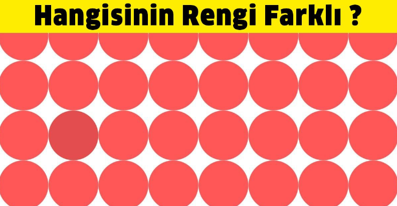 Mükemmel Renk Algısına Sahip Kişiler Farklı Renkleri Ayırt Edebilir