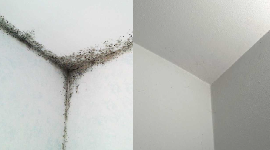 Küf oluşmasını önleyen çözüm