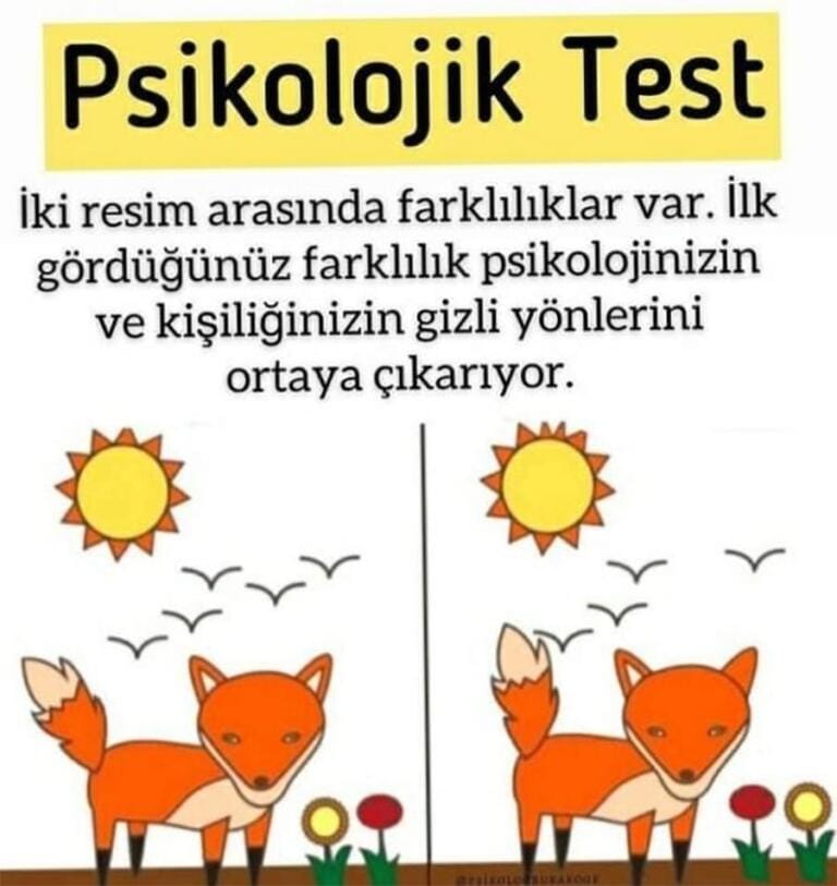İki Resim Arasında Farklılıklar Var